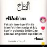 Melezli