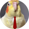 zubizaretta