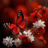 simru