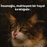 bahargözlüm